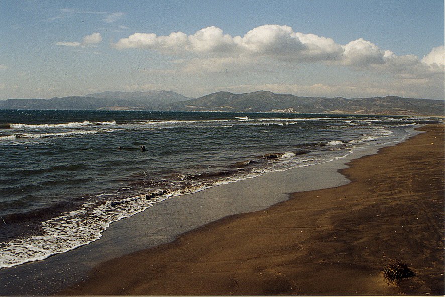 AegeanSeaEphesusShoreline20001.jpg